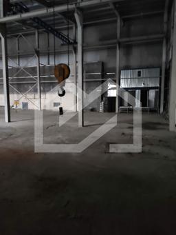 WhatsApp Image 2025-01-22 at 10.47.42 (2).jpeg