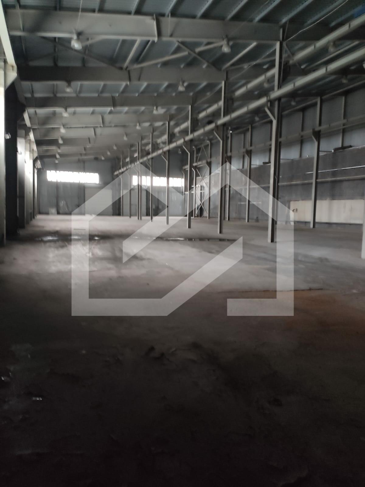 WhatsApp Image 2025-01-22 at 10.47.43.jpeg