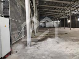 WhatsApp Image 2025-01-22 at 10.47.38.jpeg