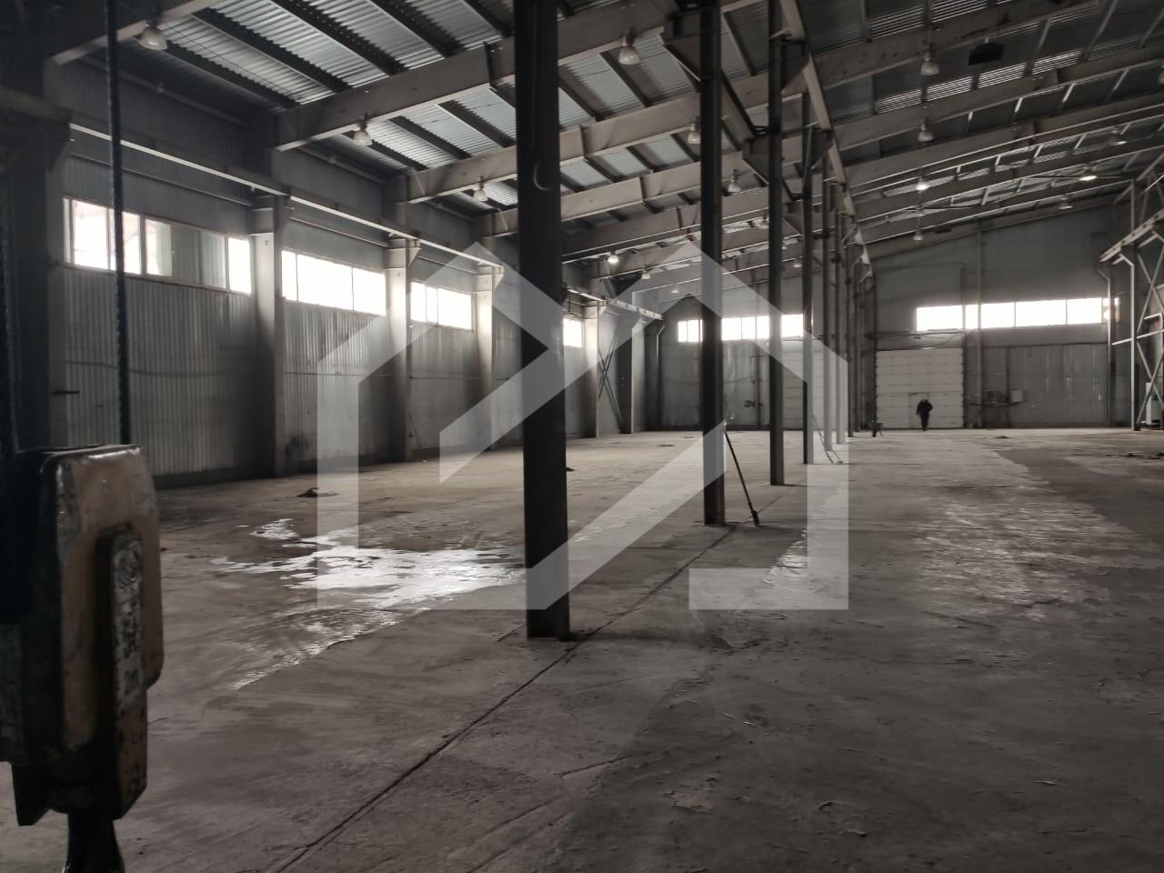 WhatsApp Image 2025-01-22 at 10.47.31.jpeg