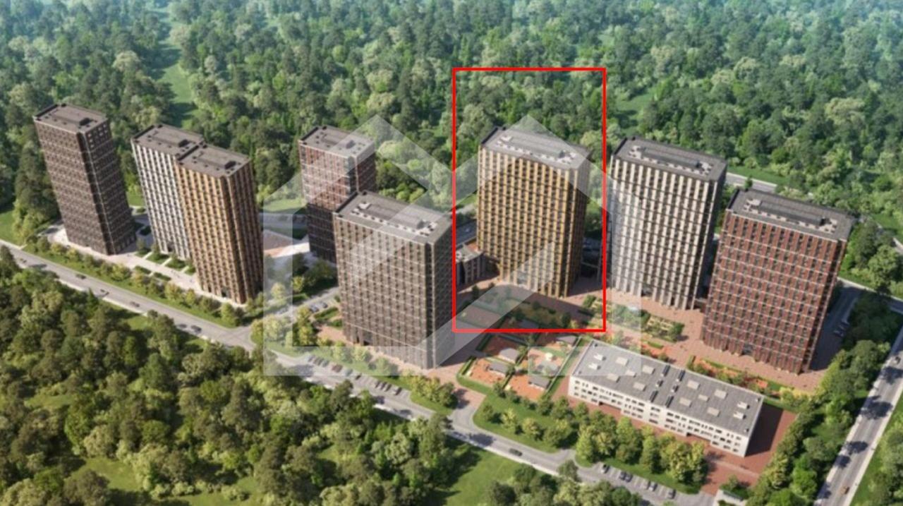 IMAGE 2026-02-03 11:42:30.jpg