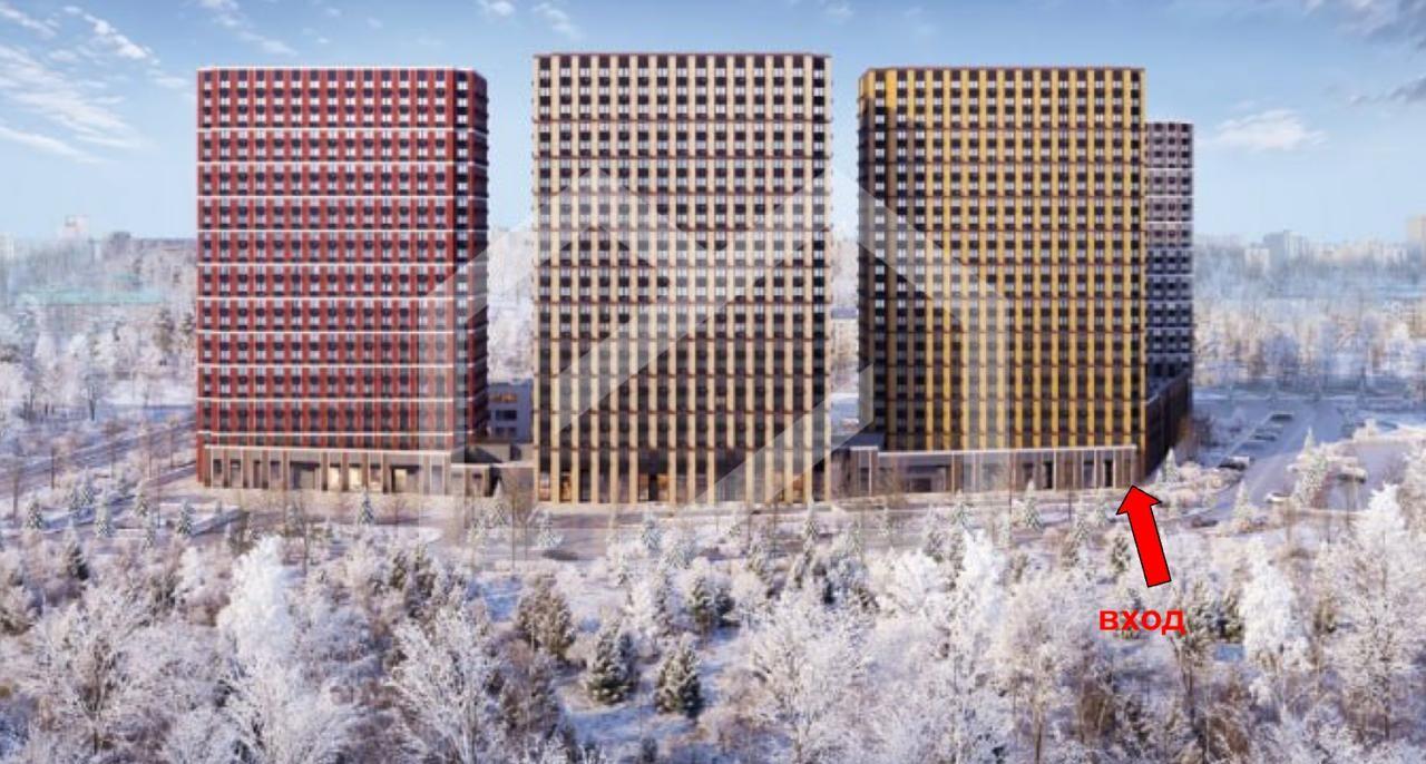 IMAGE 2026-02-03 11:42:10.jpg