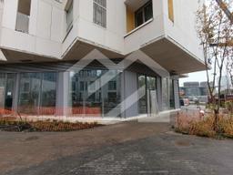 WhatsApp Image 2024-10-08 at 16.07.47 (1).jpeg