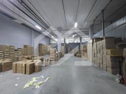 WhatsApp Image 2025-10-30 at 18.32.39.jpeg