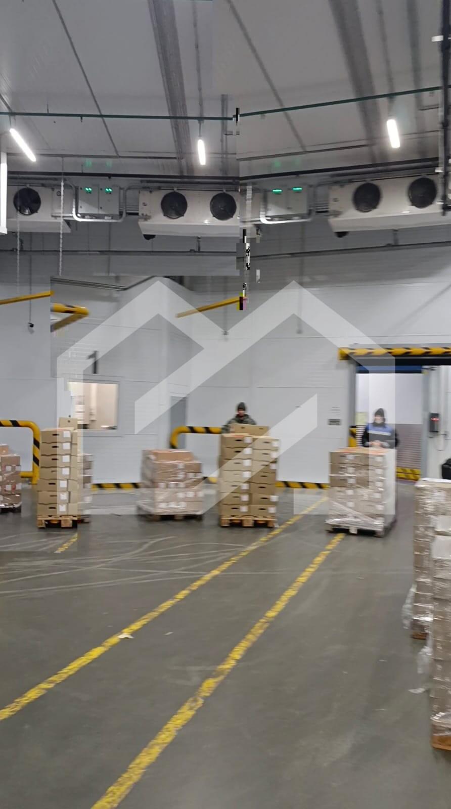 WhatsApp Image 2025-10-30 at 17.40.51 (1).jpeg