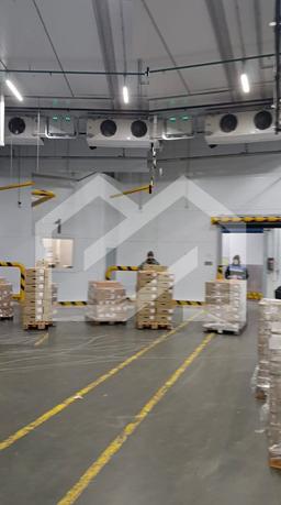 WhatsApp Image 2025-10-30 at 17.40.51 (1).jpeg