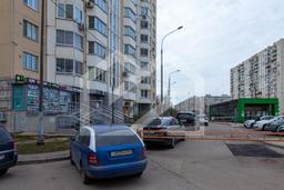 Копия IMG_2307.jpeg