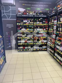 WhatsApp Image 2024-12-03 at 2.39.47 PM (2).jpeg