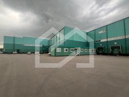 WhatsApp Image 2025-07-15 at 14.56.38.jpeg