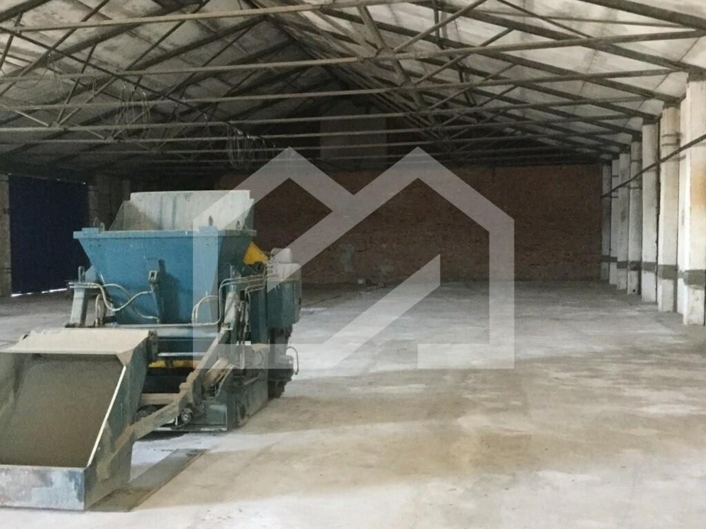 photo_2024-04-02_15-27-20 (2).jpg