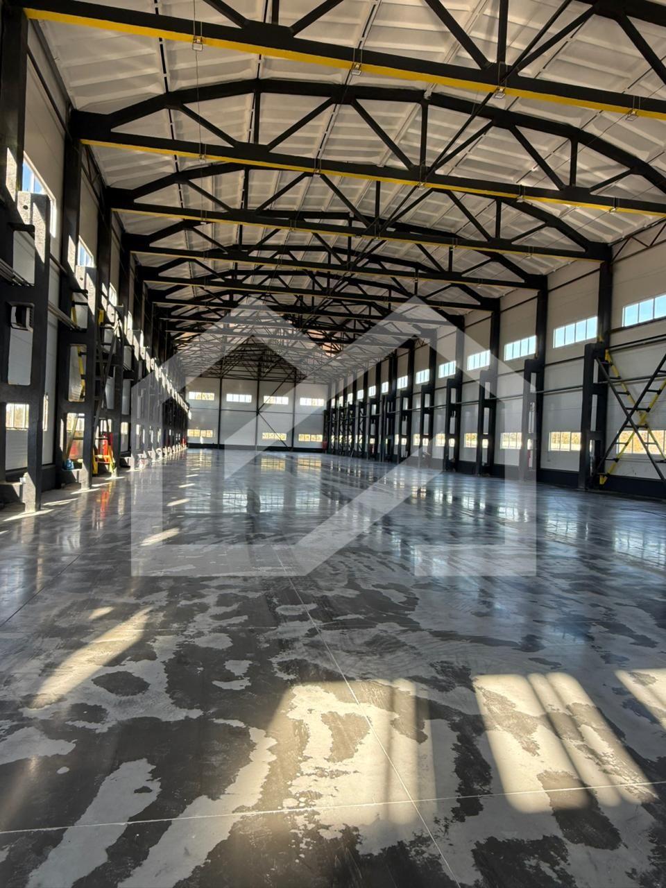 WhatsApp Image 2025-10-16 at 15.03.13.jpeg