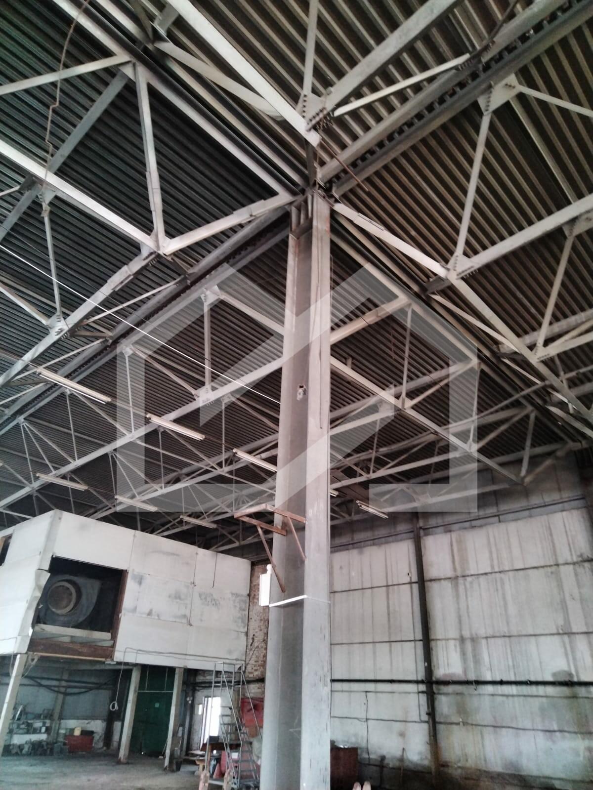 WhatsApp Image 2025-01-27 at 18.10.29 (1).jpeg