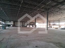 WhatsApp Image 2025-01-27 at 18.10.29 (3).jpeg