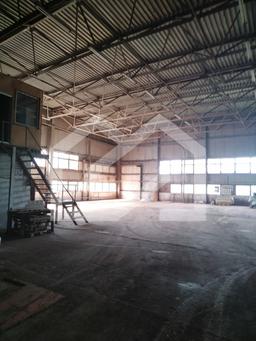 WhatsApp Image 2025-01-27 at 18.10.28 (2).jpeg