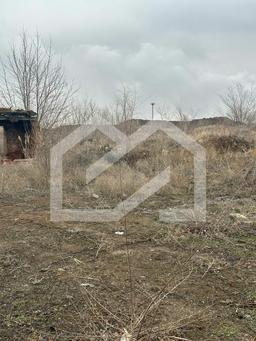 Изображение WhatsApp 2025-01-29 в 12.46.51_f435b212.jpg