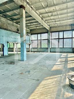 WhatsApp Image 2025-01-30 at 13.16.40 (1).jpeg