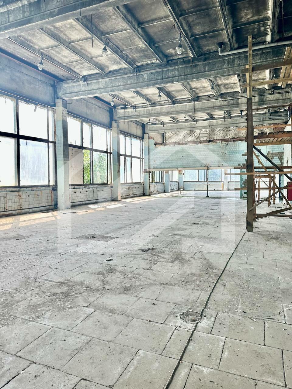 WhatsApp Image 2025-01-30 at 13.16.42.jpeg