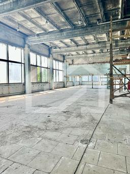 WhatsApp Image 2025-01-30 at 13.16.42.jpeg