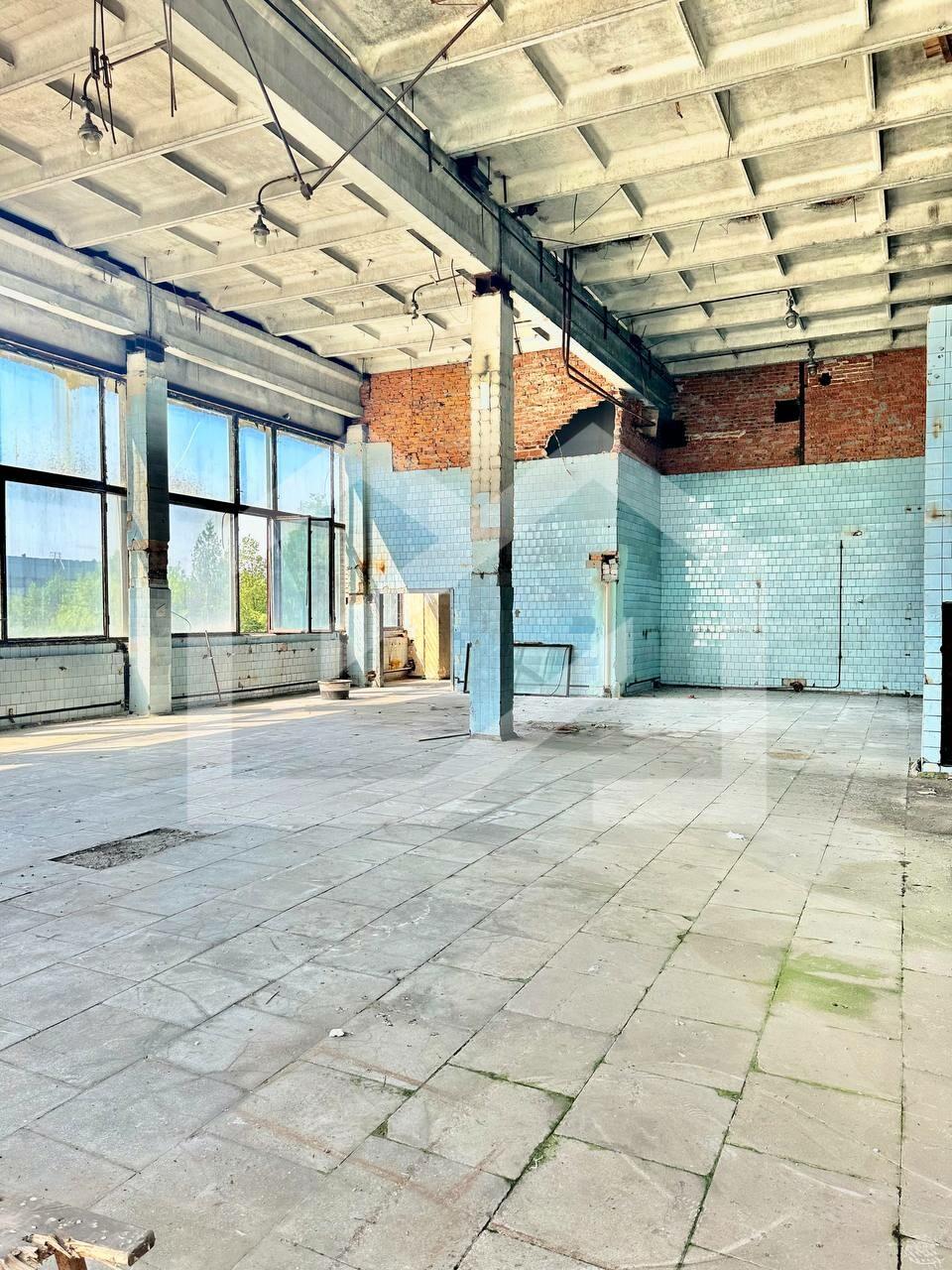 WhatsApp Image 2025-01-30 at 13.16.42 (1).jpeg