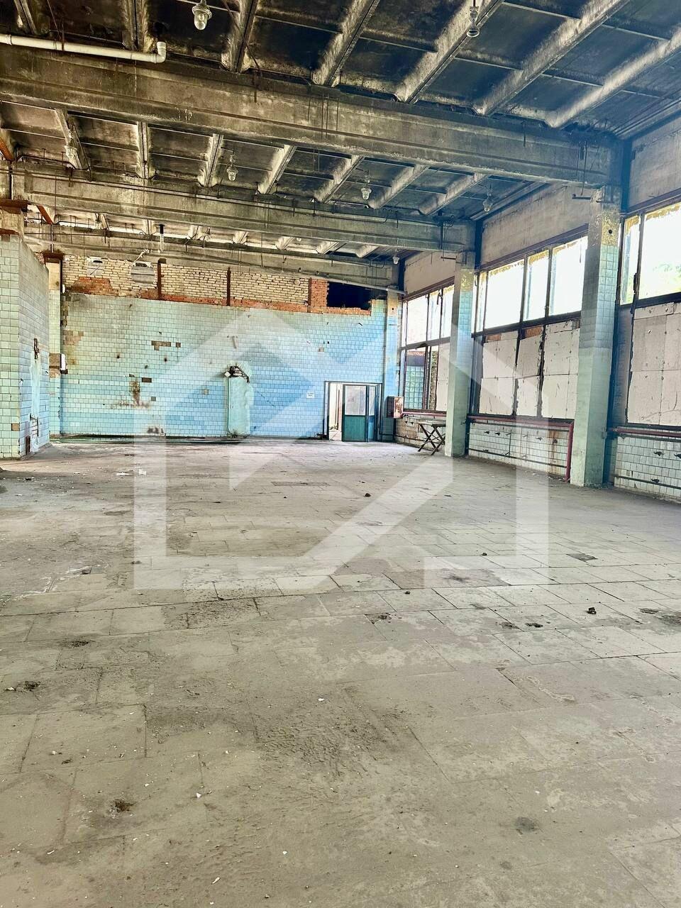 WhatsApp Image 2025-01-30 at 13.19.46 (1).jpeg