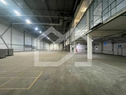 WhatsApp Image 2025-02-03 at 16.24.10 (1).jpeg