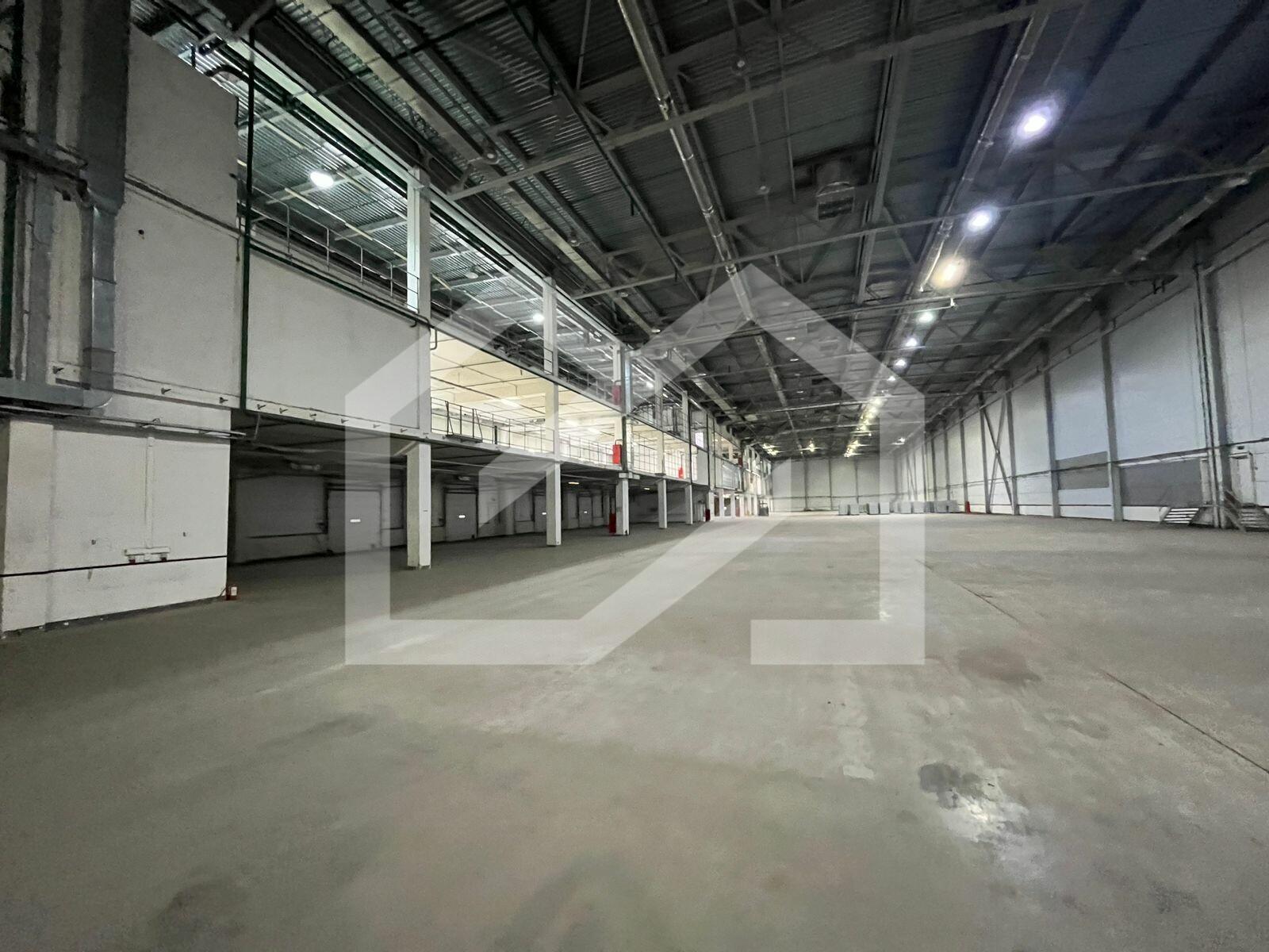 WhatsApp Image 2025-02-03 at 16.24.08 (1).jpeg