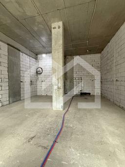 WhatsApp Image 2025-02-05 at 00.29.24.jpeg