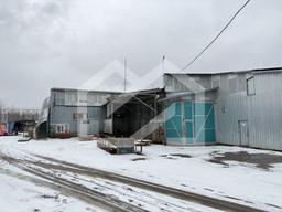 Копия IMG_9157.jpg