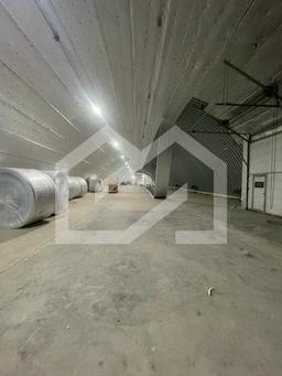 WhatsApp Image 2025-02-24 at 13.37.51.jpeg