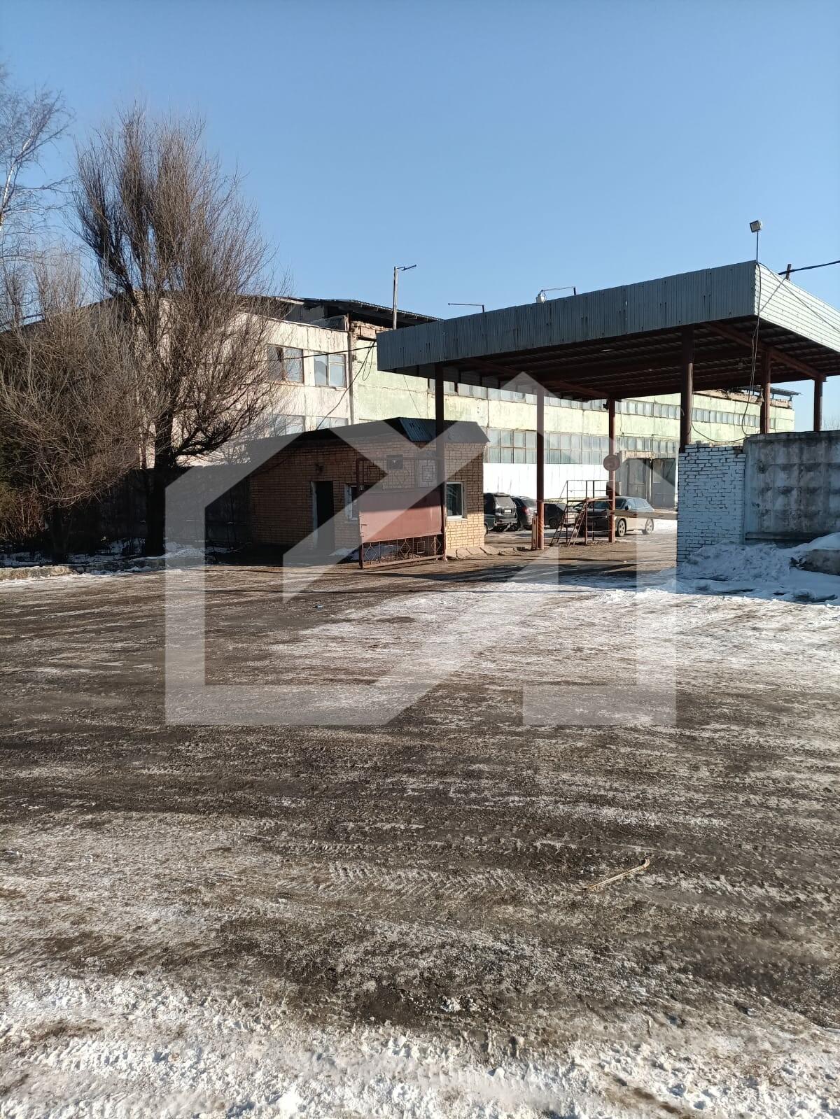 WhatsApp Image 2025-02-26 at 11.21.38.jpeg