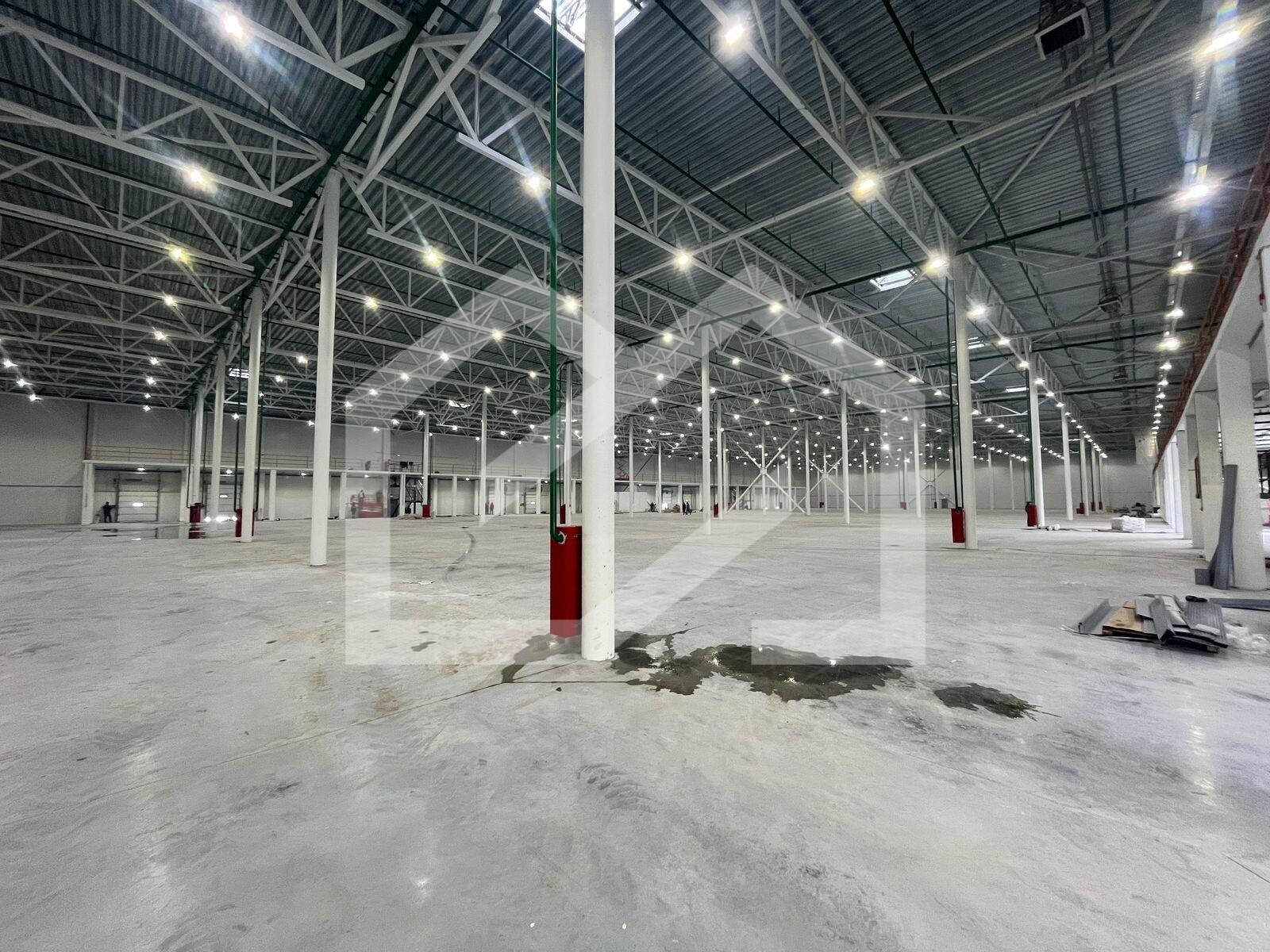 WhatsApp Image 2025-03-18 at 10.00.25.jpeg