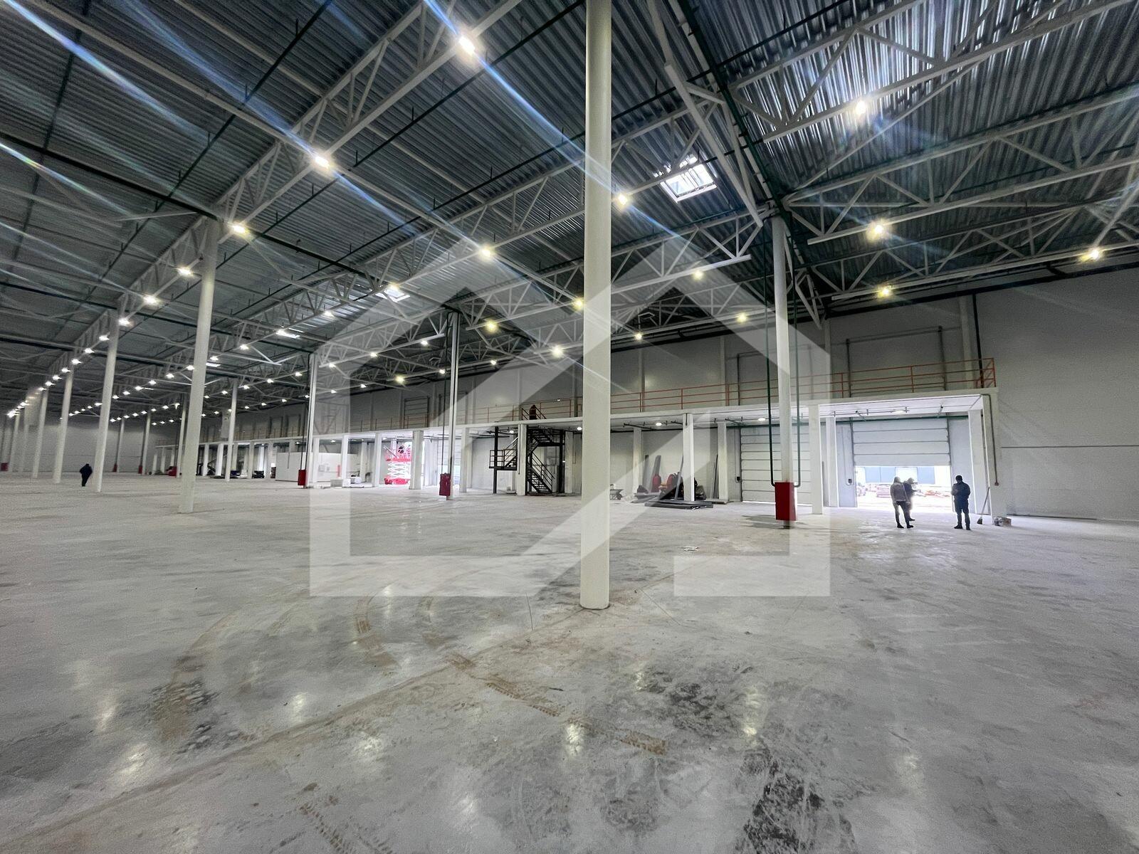 WhatsApp Image 2025-03-18 at 10.00.23.jpeg