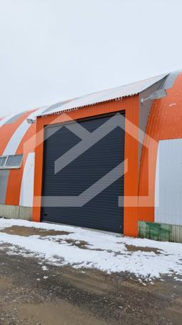 WhatsApp Image 2025-03-07 at 16.19.16.jpeg