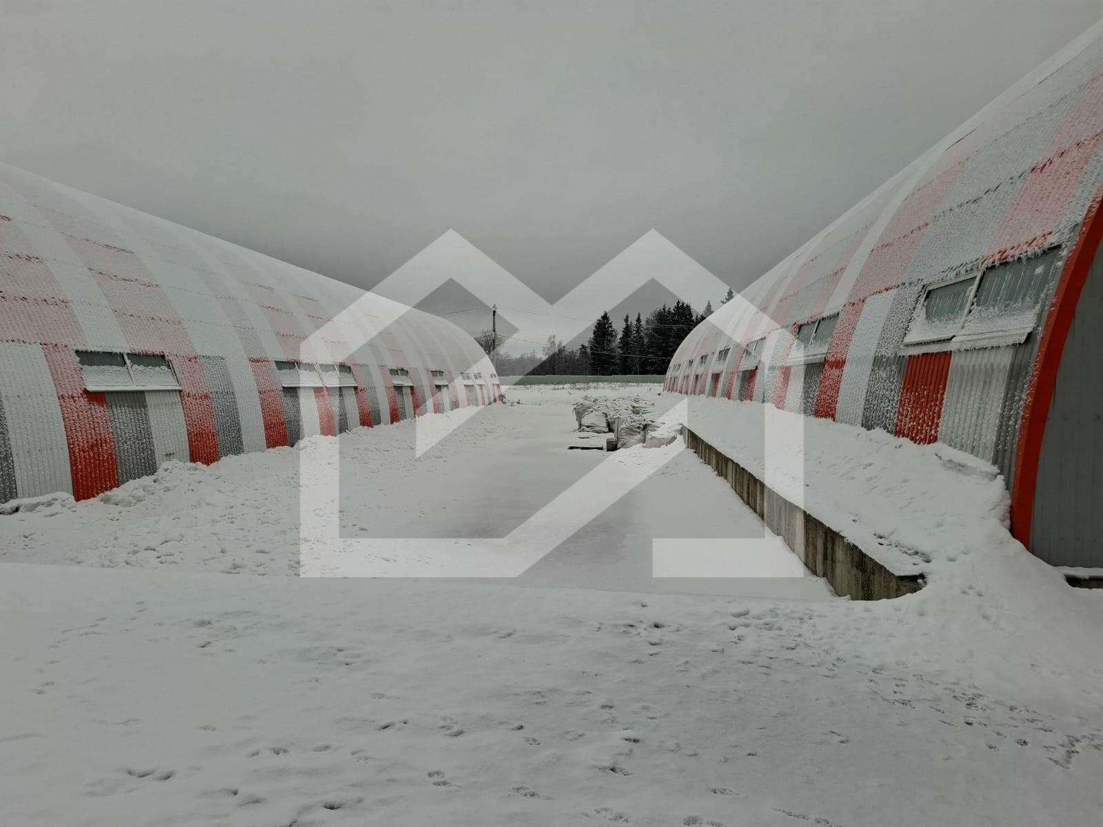 WhatsApp Image 2025-03-07 at 16.13.48.jpeg