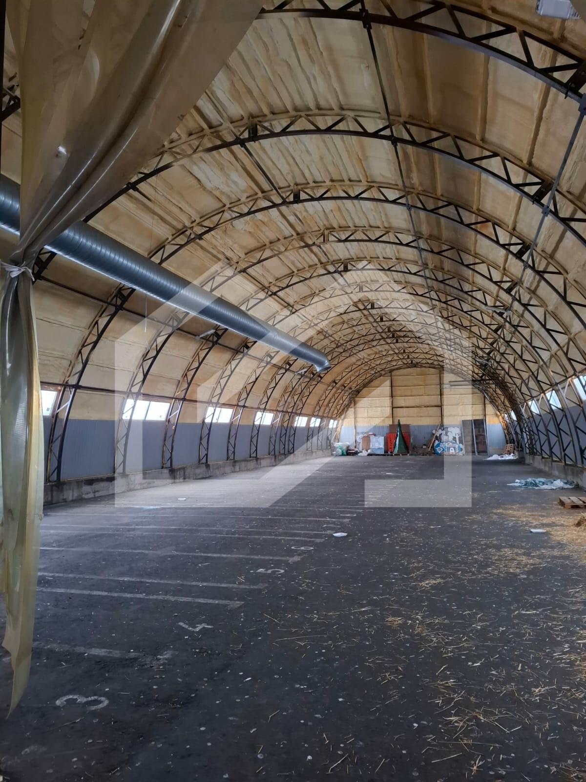 WhatsApp Image 2025-03-07 at 16.13.46.jpeg