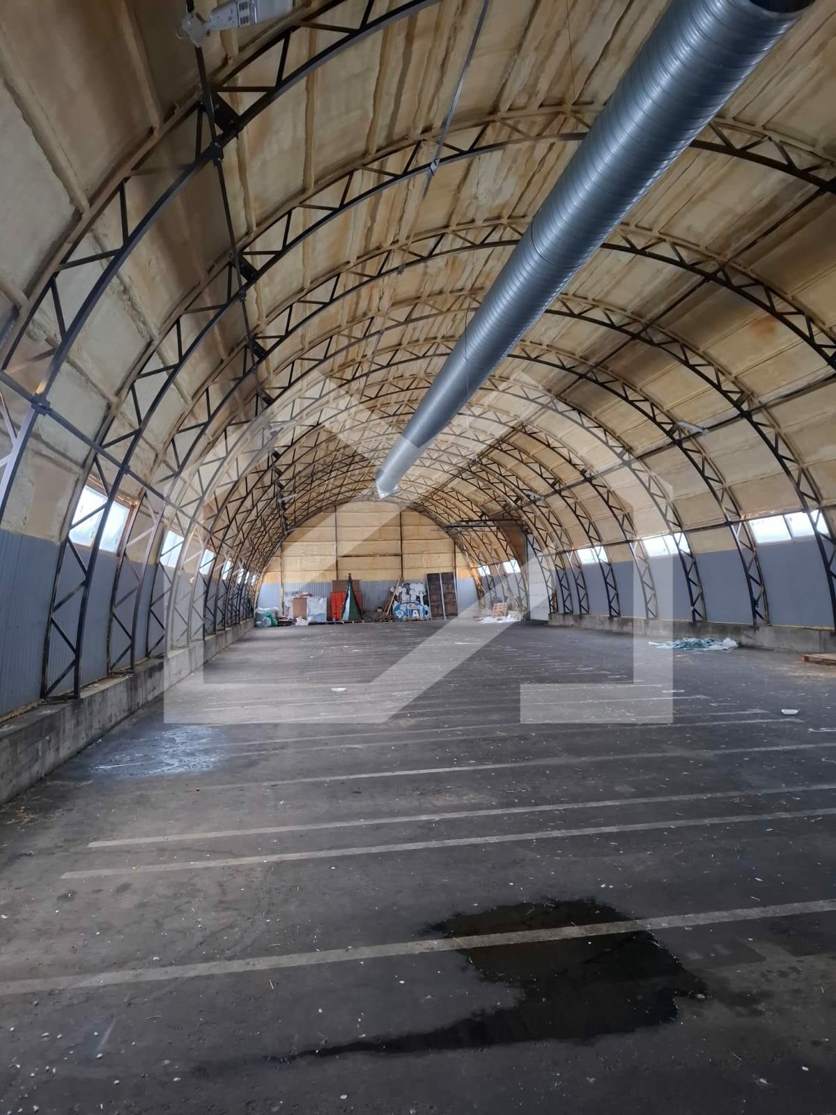 WhatsApp Image 2025-03-07 at 16.13.47.jpeg