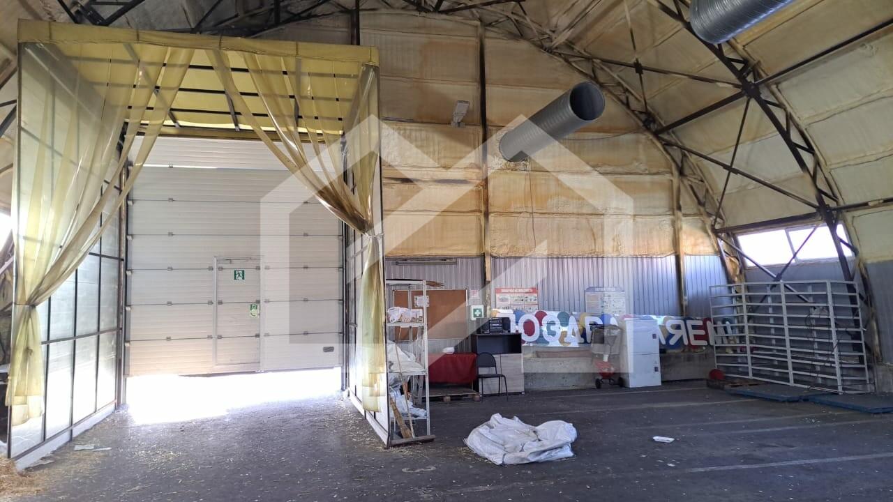 WhatsApp Image 2025-03-07 at 16.15.19 (3).jpeg