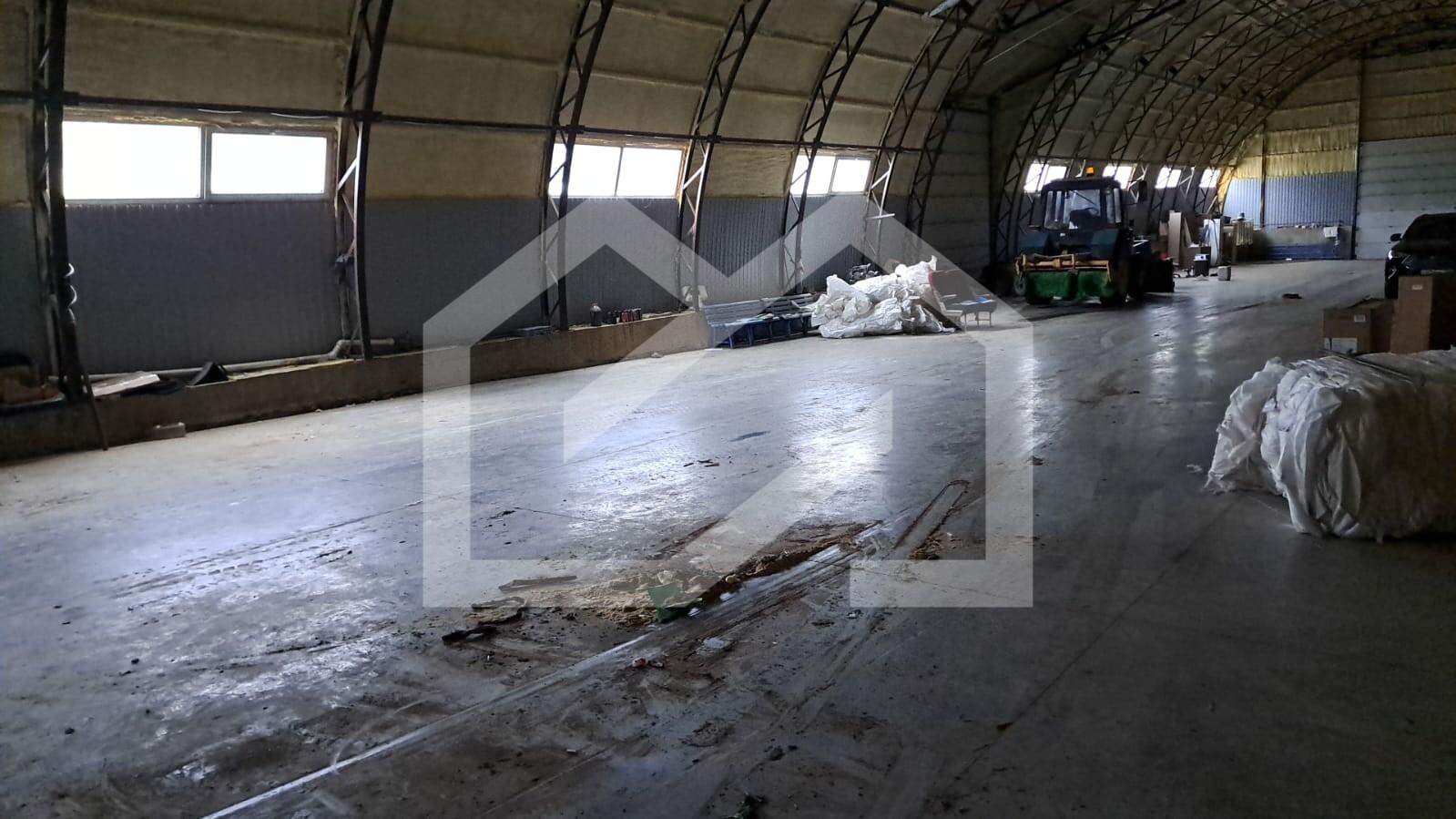 WhatsApp Image 2025-03-07 at 16.19.18 (1).jpeg