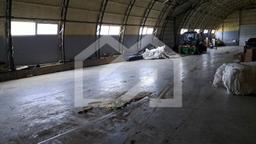 WhatsApp Image 2025-03-07 at 16.19.18 (1).jpeg