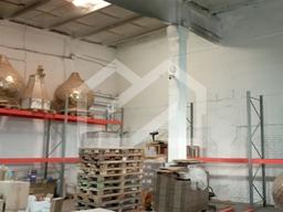 WhatsApp Image 2025-03-21 at 18.48.02.jpeg