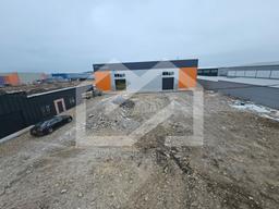 WhatsApp Image 2025-03-21 at 08.31.36 (2).jpeg