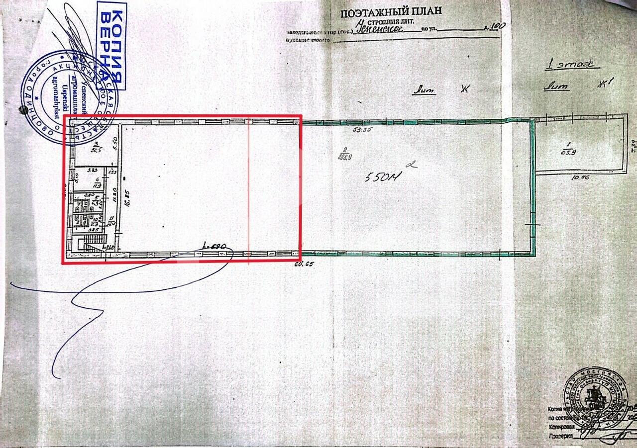 WhatsApp Image 2025-06-10 at 12.20.11.jpeg