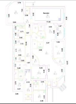 Скаковая 1.png