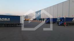 Изображение WhatsApp 2025-03-26 в 09.52.11_49125b42.jpg