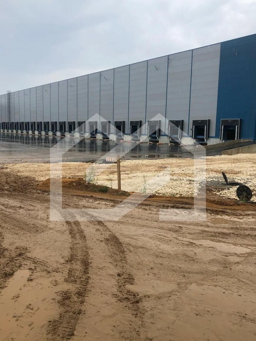 Изображение WhatsApp 2025-03-26 в 09.52.11_99da6ee2.jpg