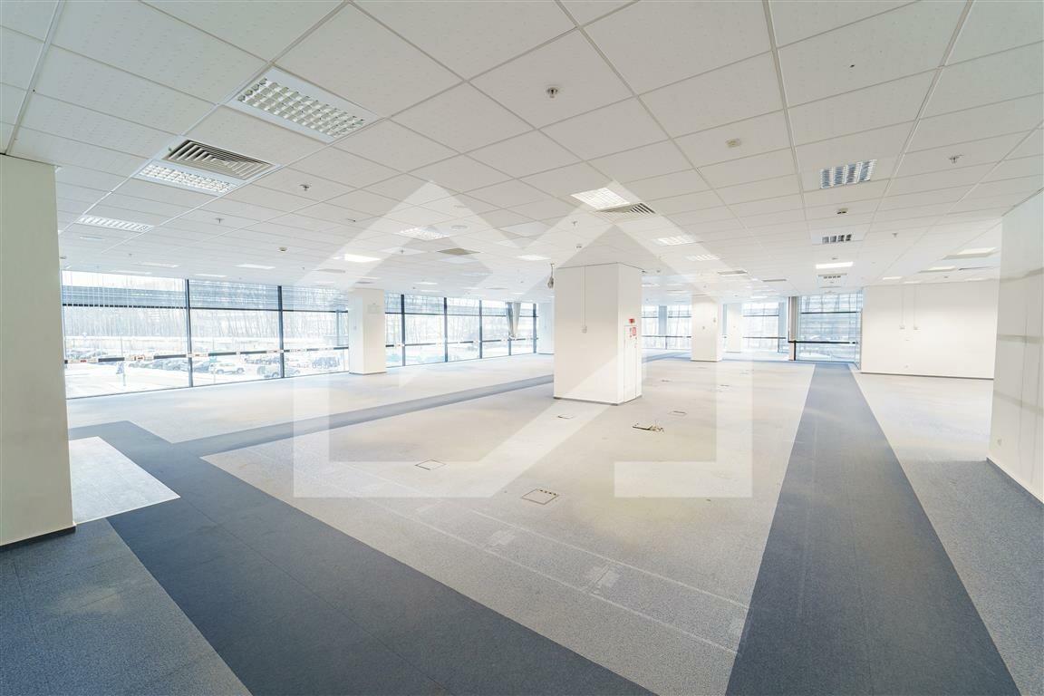 Интерьер 309 (Medium).jpg