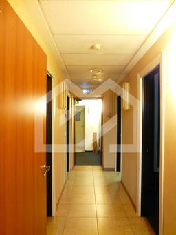 WhatsApp Image 2025-09-12 at 14.29.07.jpeg