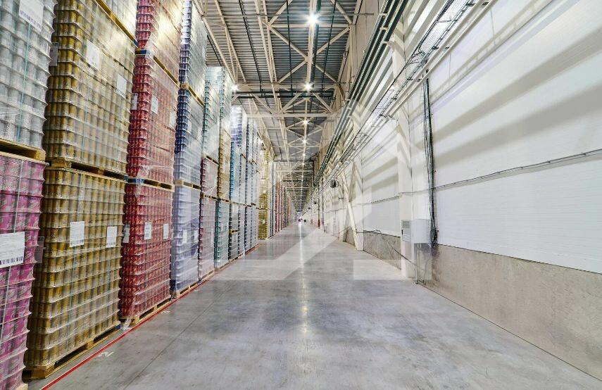 Скриншот 08-04-2025 123902.jpg