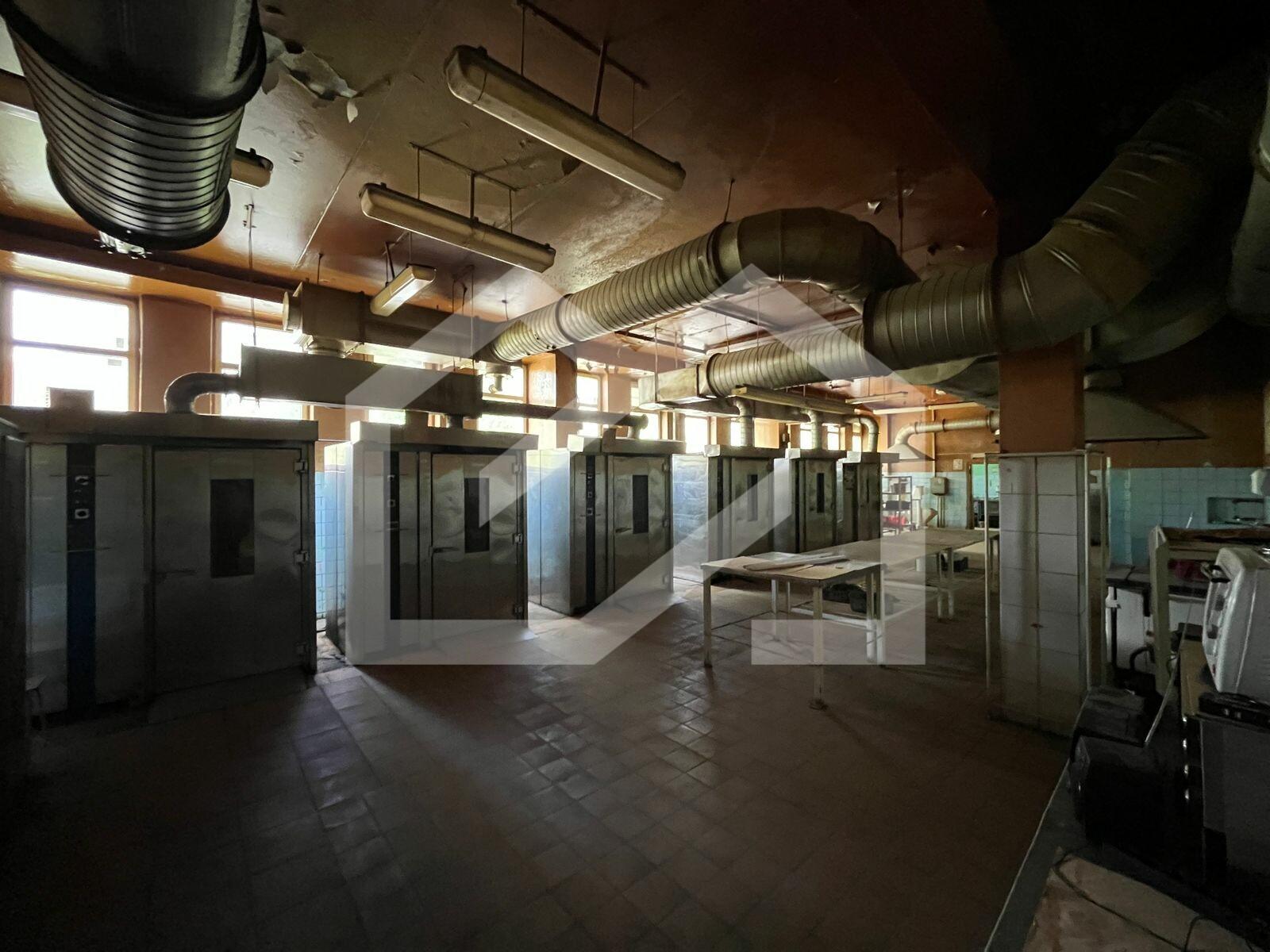 WhatsApp Image 2025-06-11 at 16.20.52 (1).jpeg