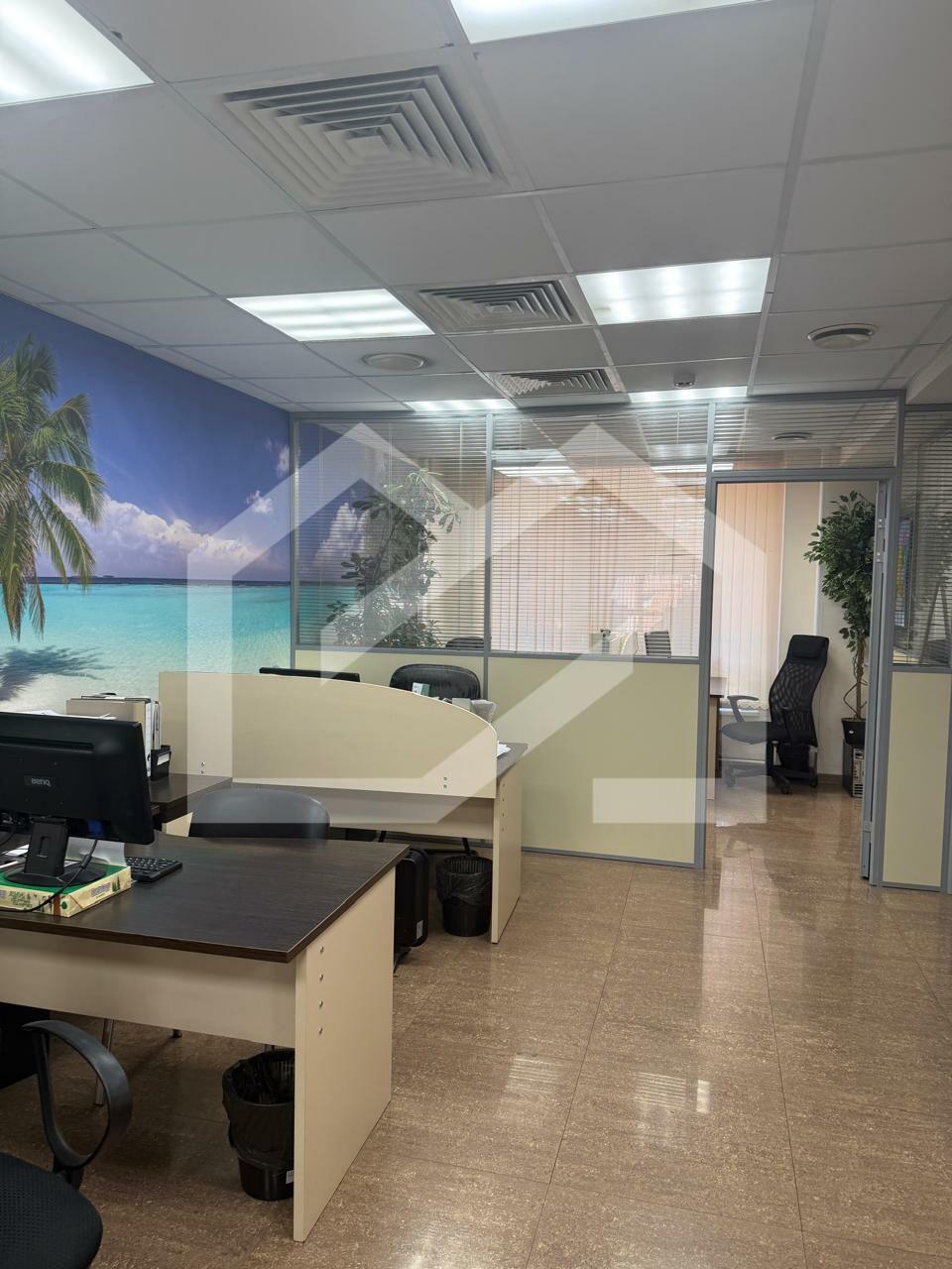 WhatsApp Image 2025-05-04 at 18.19.04 (1).jpeg